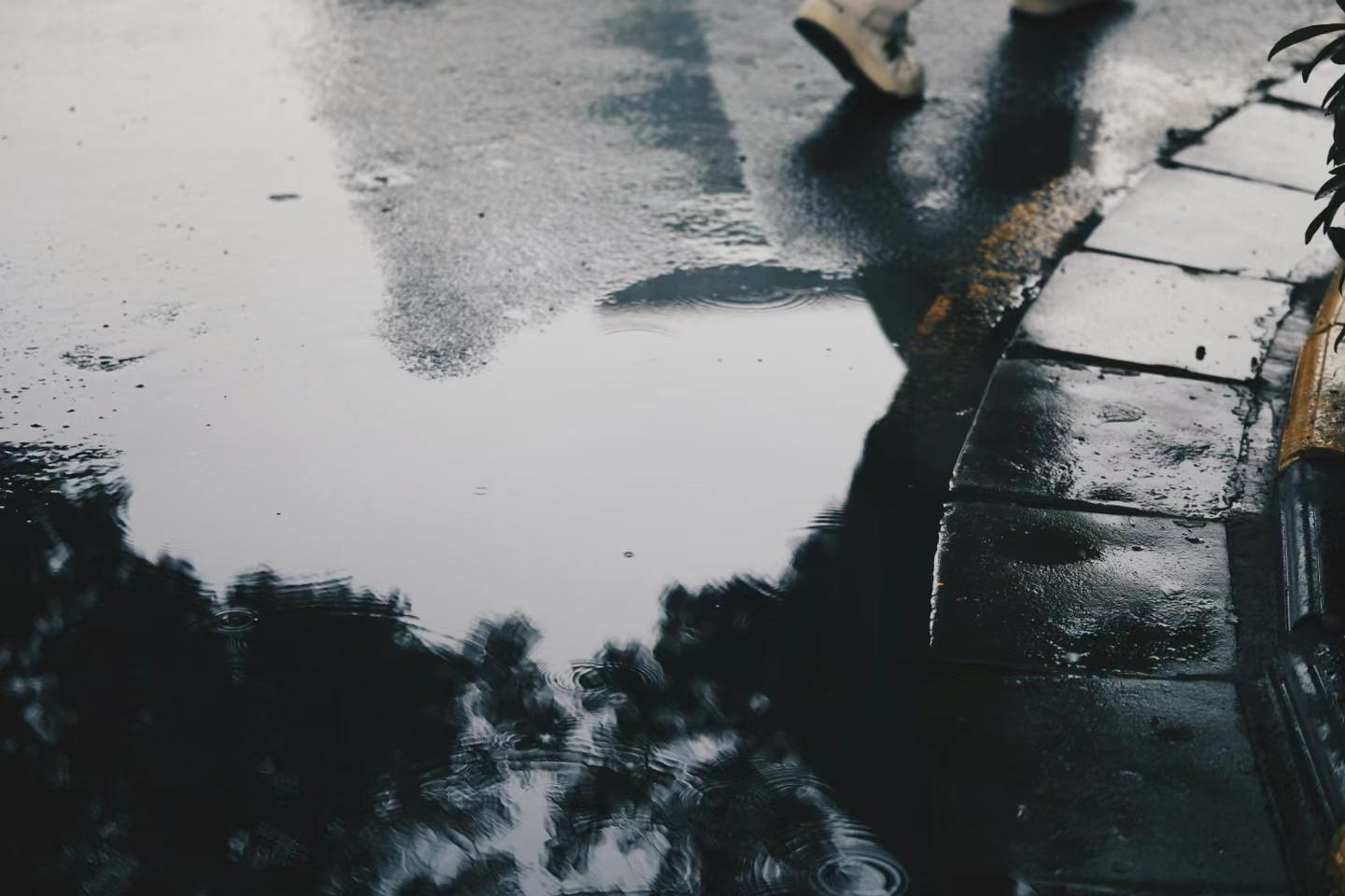 2025-03-21 · 上海鲁迅公园