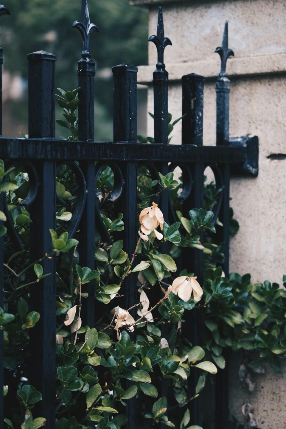 2025-03-21 · 上海鲁迅公园