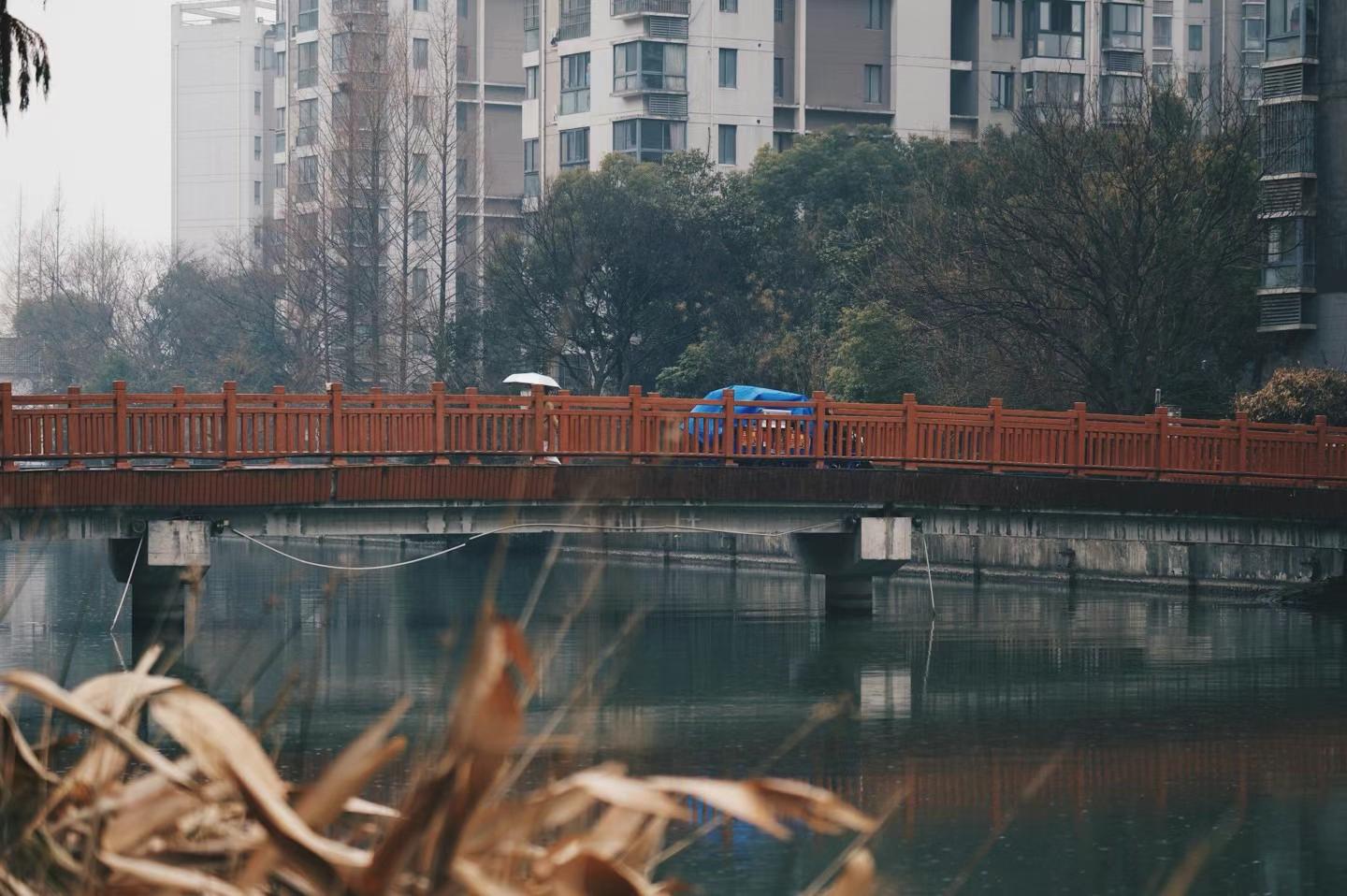 2025-03-21 · 上海鲁迅公园