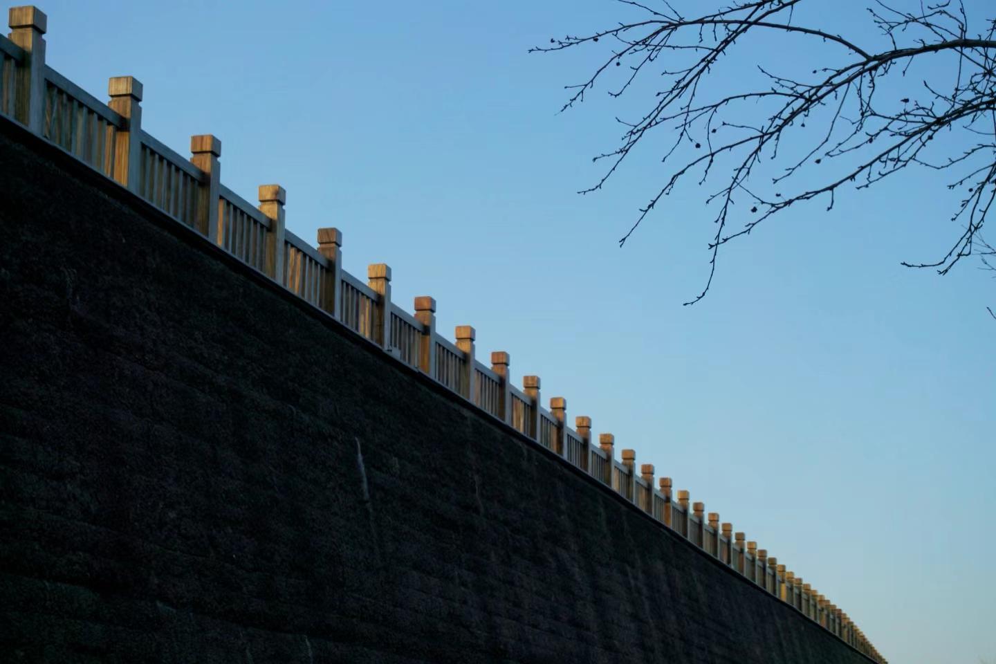 2025-03-21 · 上海鲁迅公园