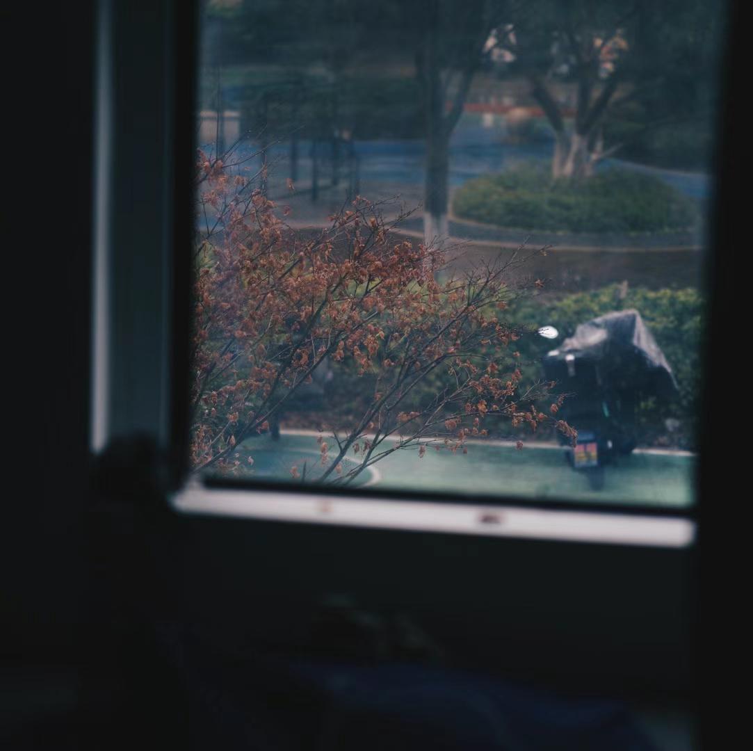 2025-03-21 · 上海鲁迅公园